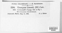 Image Associated With the Occurence
